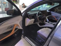 BYD Song Pro New Energy Champion Edition DM-i 110KM Excellence - ფოტო 15
