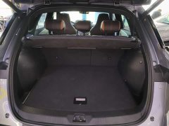 BYD Song Pro New Energy Champion Edition DM-i 110KM Excellence - ფოტო 18