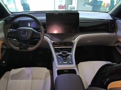 BYD Song Pro New Energy Champion Edition DM-i 110KM Excellence - ფოტო 9