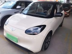 Wuling Binguo 333km Joy Edition - ფოტო 1