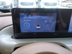 Wuling Binguo 333km Joy Edition - ფოტო 11