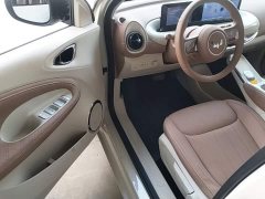 Wuling Binguo 333km Joy Edition - ფოტო 15