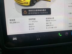Tesla Model 3 Rear-Wheel Drive - ფოტო 11