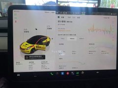 Tesla Model 3 Rear-Wheel Drive - ფოტო 12