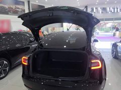 Tesla Model 3 Rear-Wheel Drive - ფოტო 18