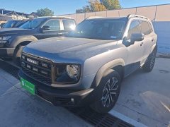 Great Wall Dachshund 1.5T DCT Border Collie Edition - ფოტო 1