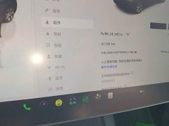 Tesla Model Y Rear-Wheel Drive - ფოტო 11