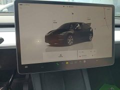 Tesla Model Y Rear-Wheel Drive - ფოტო 12