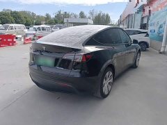 Tesla Model Y Rear-Wheel Drive - ფოტო 6