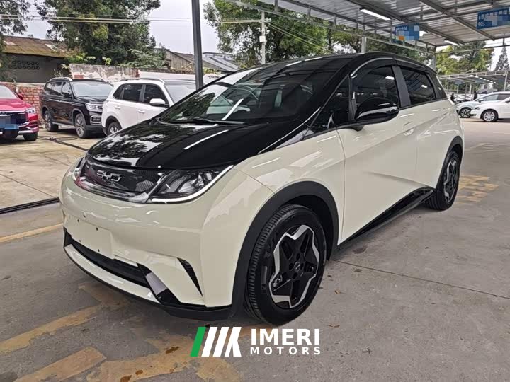 BYD Dolphin 405km Fashion Edition