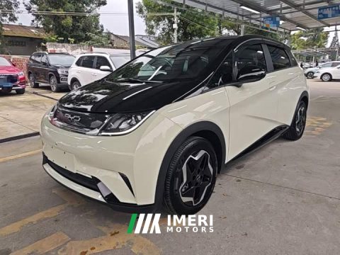 2022 BYD Dolphin 405km Fashion Edition - ავტომობილი ჩინეთიდან