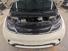 BYD Dolphin 405km Fashion Edition - ფოტო 19