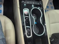 Buick Regal 552T Elite - ფოტო 13