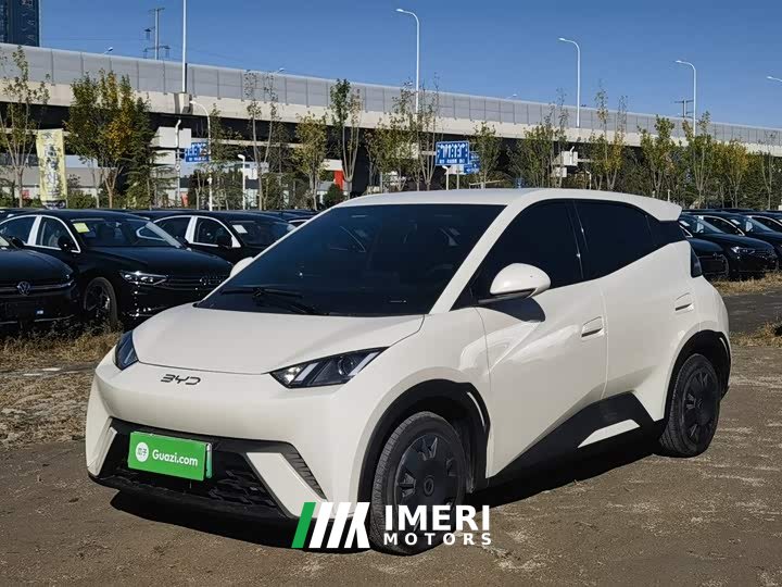 BYD Seagull 305km Vitality Edition