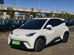 BYD Seagull 305km Vitality Edition - ფოტო 1