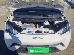 BYD Seagull 305km Vitality Edition - ფოტო 19