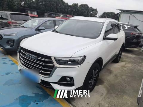 2023 Haval H6 National Trend Edition 1.5T Automatic Urban Version