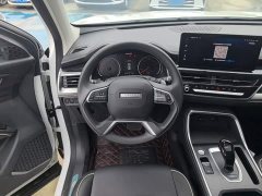 Haval H6 National Trend Edition 1.5T Automatic Urban Version - ფოტო 10
