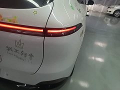 XPeng G6 700 AWD Performance Max - ფოტო 7