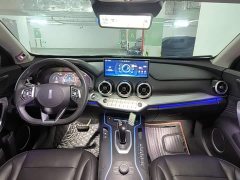 Great Wall WEY VV7 2.0T Flagship - ფოტო 9