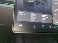 Tesla Model 3 Rear-Wheel Drive - ფოტო 11