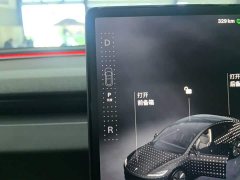 Tesla Model 3 Rear-Wheel Drive - ფოტო 13