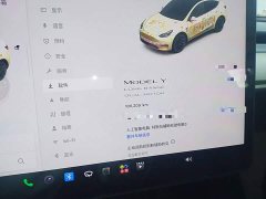 Tesla Model Y Facelift Long Range All-Wheel Drive - ფოტო 11