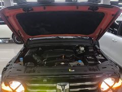 Tank 300 City Edition 2.0T Essential - ფოტო 19