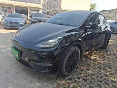 Tesla Model Y Standard Range RWD - ფოტო 1
