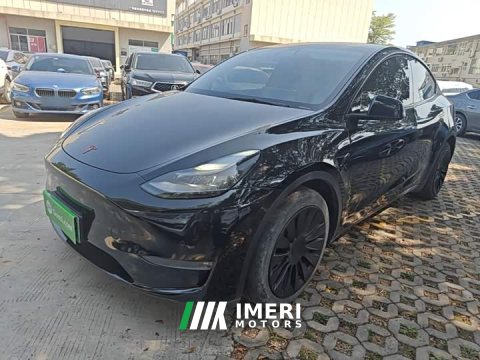 2021 Tesla Model Y Standard Range RWD - ავტომობილი ჩინეთიდან