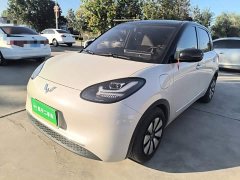 Wuling Binguo 333km Joy Edition - ფოტო 1