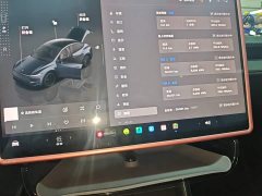 Tesla Model Y Rear-Wheel Drive - ფოტო 11