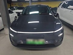 Tesla Model Y Rear-Wheel Drive - ფოტო 2