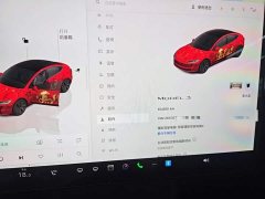 Tesla Model 3 Rear-Wheel Drive - ფოტო 11