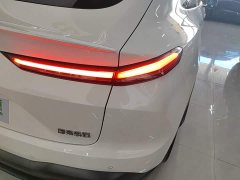 Nio Lerado L60 60kWh Rear-Wheel Drive - ფოტო 7