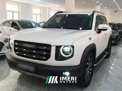 2022 Great Wall Dachshund 1.5T DCT Two-Wheel Drive Border Collie Edition - ავტომობილი ჩინეთიდან