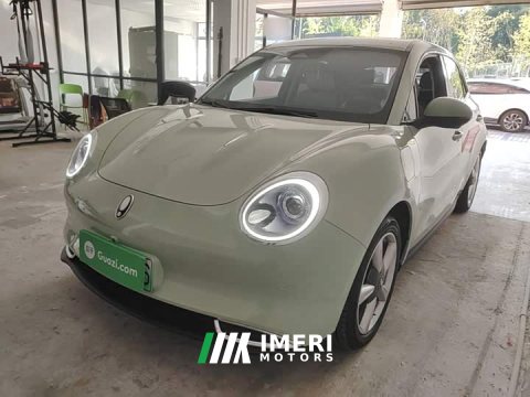 2023 ORA Good Cat 401km Standard Range Deluxe LFP - ავტომობილი ჩინეთიდან