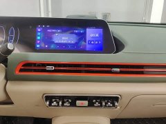 ORA Good Cat 401km Standard Range Deluxe LFP - ფოტო 12