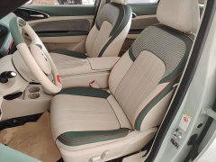ORA Good Cat 401km Standard Range Deluxe LFP - ფოტო 14