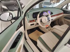 ORA Good Cat 401km Standard Range Deluxe LFP - ფოტო 15