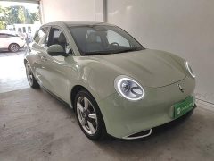 ORA Good Cat 401km Standard Range Deluxe LFP - ფოტო 3