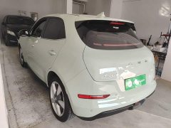 ORA Good Cat 401km Standard Range Deluxe LFP - ფოტო 4