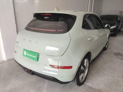ORA Good Cat 401km Standard Range Deluxe LFP - ფოტო 6