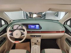 ORA Good Cat 401km Standard Range Deluxe LFP - ფოტო 9