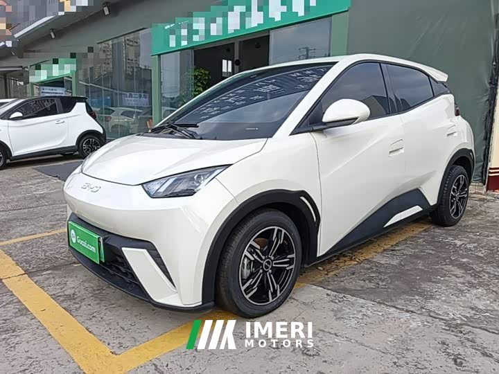 BYD Seagull Glory Edition 305km Vitality Version