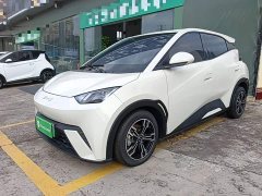 BYD Seagull Glory Edition 305km Vitality Version - ფოტო 1
