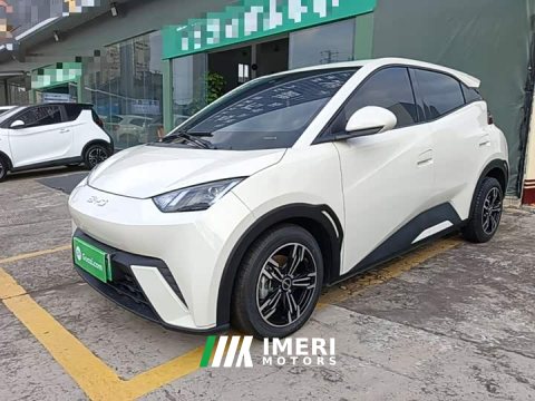 2024 BYD Seagull Glory Edition 305km Vitality Version - ავტომობილი ჩინეთიდან