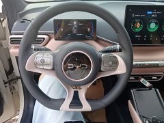 BYD Seagull Glory Edition 305km Vitality Version - ფოტო 10