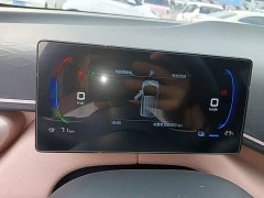 BYD Seagull Glory Edition 305km Vitality Version - ფოტო 11
