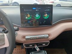 BYD Seagull Glory Edition 305km Vitality Version - ფოტო 12